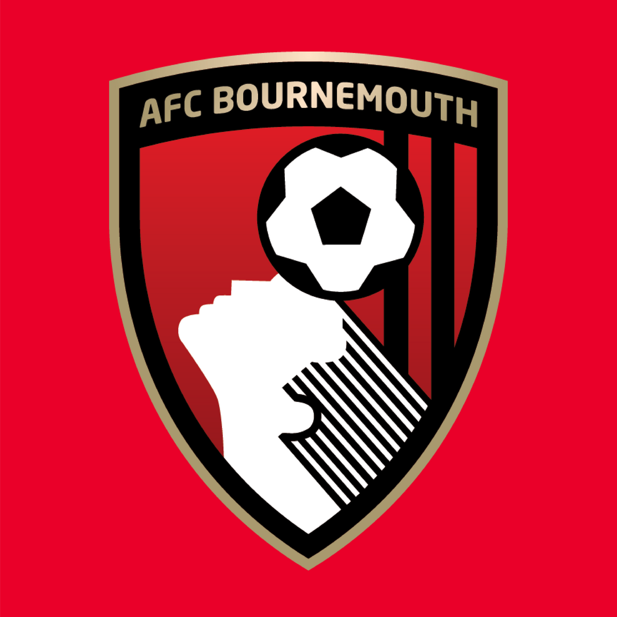 AFC Bournemouth
