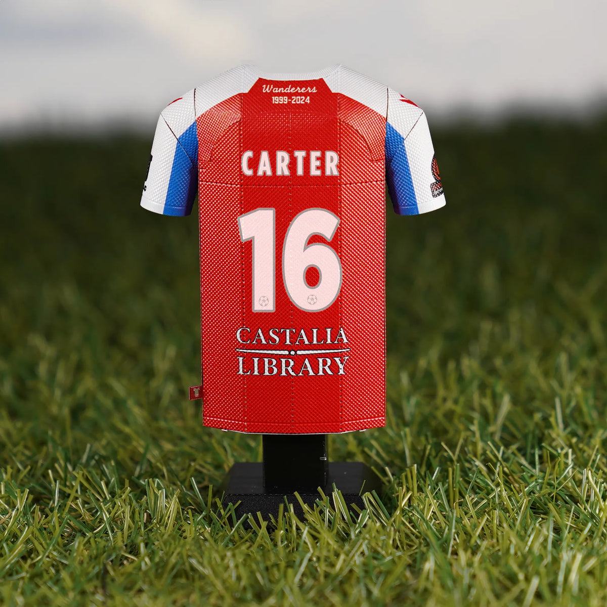 The back of a Dorking Wanderers FC 2024/2025 red home jersey collectible, customized with the name CARTER and the number 16.