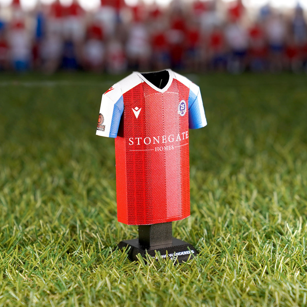 Lifestyle product photograph showcasing a Dorking Wanderers FC 2024/2025 home jersey collectible standing upright on an outdoor turf surface.